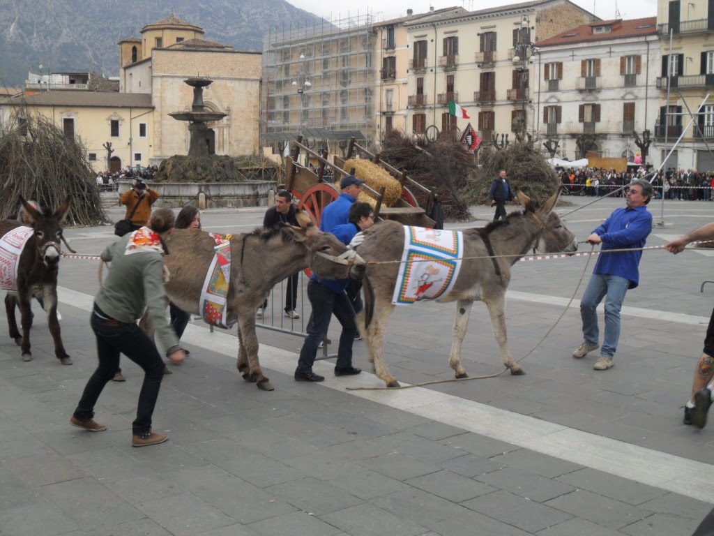 Maltempo, Annullati "Festa dei fuochi" e Palio degli asini