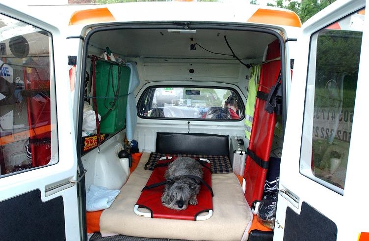 Tutti giù per terra - Il cane sta male: arriva l'ambulanza‏