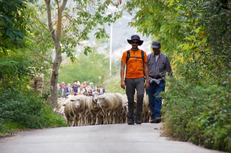 A piedi per il tratturo Castel di Sangro - Lucera. Si parte il 30 agosto