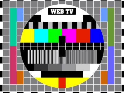 L'opinione - Le web tv scalzano i media tradizionali