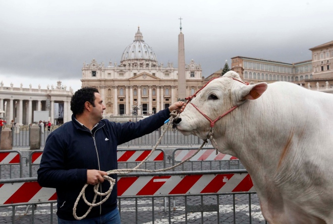 Allevatori abruzzesi e molisani a San Pietro per festeggiare Sant'Antonio