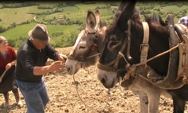 Acquevive di Frosolone, per vivere il mondo agreste insieme a Luigi Di Maria