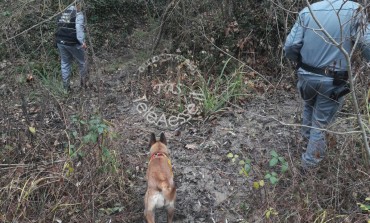 Ateleta, operazione antiveleni dei forestali