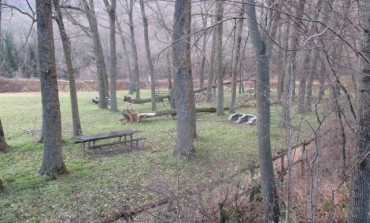 Raffiche di vento sradicano alberi a Castel di Sangro