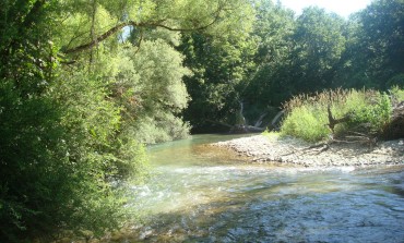 Pnalm, esce il calendario per l'esercizio della pesca