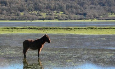 Montenero Val Cocchiara: il pantano in onda su "Geo & Geo"