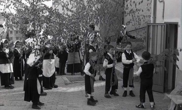 La Maggiolata di Castel del Giudice - rito e festa del faggio propiziatore