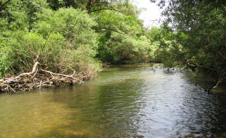 Alfedena, fiume Sangro a rischio captazione acqua: la denuncia del Wwf Abruzzo