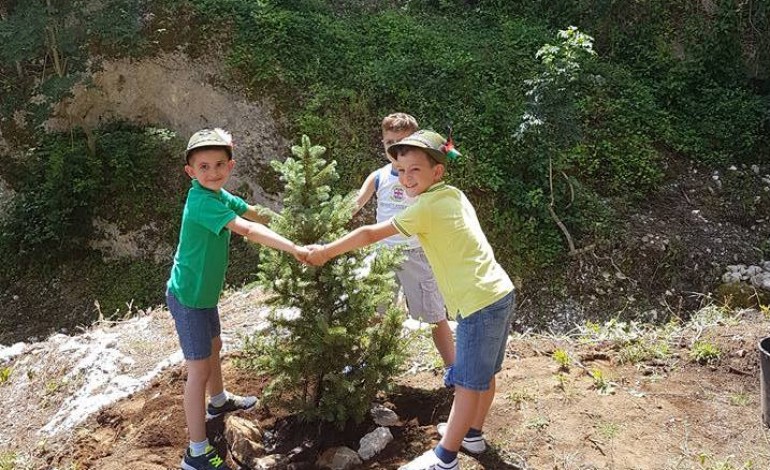 "Un albero, un bambino", la festa della vita