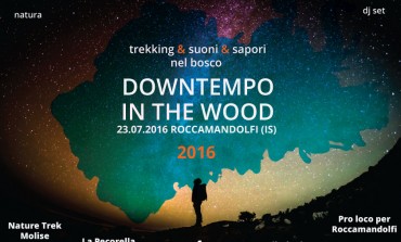 "Downtempo in the wood", un'escursione da sogno