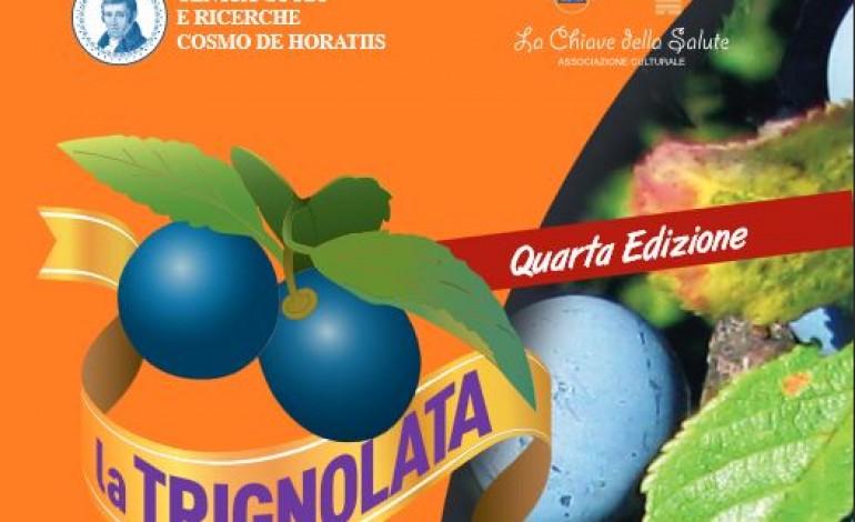 Bagnoli del Trigno si prepara alla "Trignolata": scienza, salute, gastronomia e natura