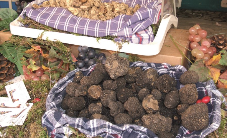 Di scena il tartufo molisano in cucina a Roma, Pescara e Frosolone