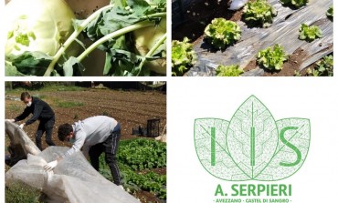 Castel di Sangro, Bio-orto inclusivo all'istituto Agrario "A. Serpieri"