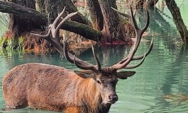 Lago di Barrea nel cuore del Parco Nazionale d'Abruzzo: un progetto di valorizzazione tra natura, cultura e benessere