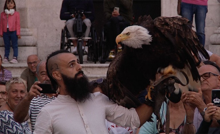 Arti e Mestieri a Castel di Sangro, la falconeria Bergamotti incanta la piazza con i rapaci