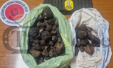 Tartufo nero uncinato: intensificati i controlli nel Parco Nazionale contro la raccolta non autorizzata