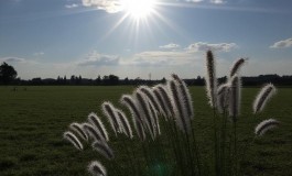 Previsioni Meteo per giovedì 20 marzo: cieli sereni e temperature fino a 13°C