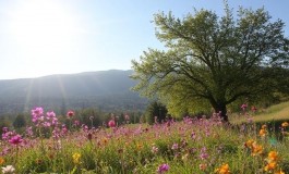 Primavera, Previsioni Meteo per Venerdì 21 Marzo 2025