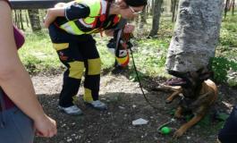 Castel di Sangro, "Il ruolo insostituibile del cane", giornata dedicata al rischio ambientale