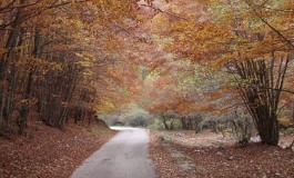 Strada Villavallelonga – fonte Aceretta: le associazioni ribadiscono la loro posizione