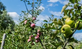 Castel di Sangro, i bambini della Giannini scoprono la 'Melise'