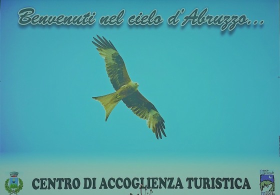 Pizzoferrato, benvenuti nella Casa degli Angeli: il più grande Centro Nazionale Avifauna del Parco Majella