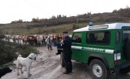 Alto Molise, scarichi abusivi e illeciti amministrativi accertati dai Carabinieri - Forestali