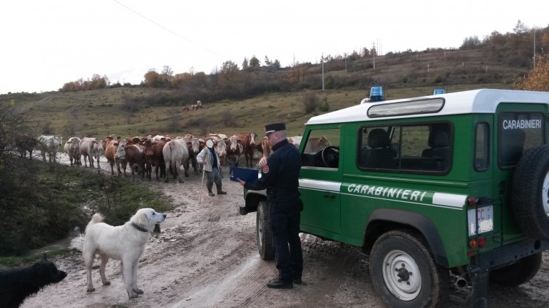 Alto Molise, scarichi abusivi e illeciti amministrativi accertati dai Carabinieri – Forestali