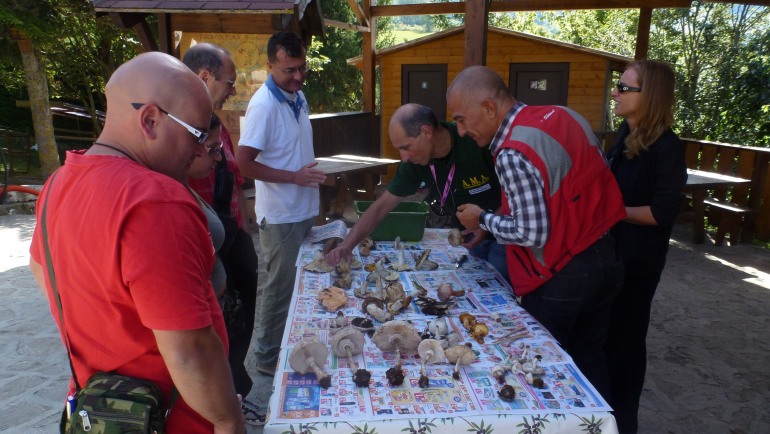 Castel di Sangro, alla Masseria San Iorio inizia il corso per la raccolta dei funghi