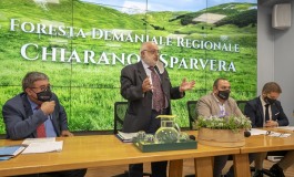 Foresta Demaniale Chiarano Sparvera verra gestita dal Parco Nazionale d’Abruzzo, Lazio e Molise