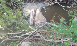 Lago di Barrea, presunti inquinamenti: la denuncia di S.O.A.