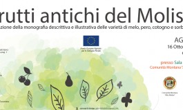 "Frutti antichi del Molise" la presentazione in Agnone