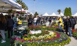 Mostra del fiore florviva rinviata a settembre