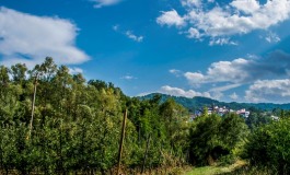 L'apicoltura come stimolo a fare impresa, meeting a Castel del Giudice