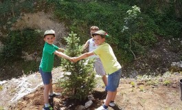 "Un albero, un bambino", la festa della vita