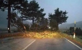 Traffico in tilt, il vento sradica alberi sul Piano delle Cinquemiglia e a Castel di Sangro