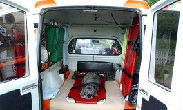 Tutti giù per terra - Il cane sta male: arriva l'ambulanza‏