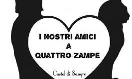 Castel di Sangro, aiutiamo cani e gatti abbandonati: colletta alimentare, 20 e 21 agosto