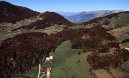 Pescocostanzo - Bosco di Sant'Antonio, "Salviamo l'Orso" attacca Il sindaco Sciullo: "Non la racconta giusta"