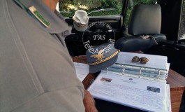 Raccolta tartufo bianco fuori stagione: 4.000 euro di multa ad un laziale