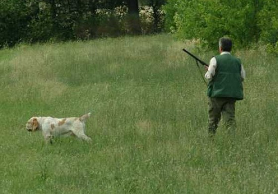 Ferito cacciatore di Roccaraso, cade a terra e parte un colpo dal fucile