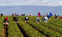 Caporalato e Agromafie, al "Serpieri" si coniuga l'agricoltura con la legalità