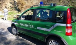 Inquinamento ambientale: Carabinieri Forestali sequestrano opificio