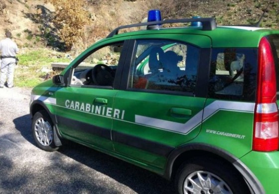 Castel di Sangro, lo studio di un ufficiale dei carabinieri forestali finisce su Nature Communications