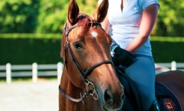 Pescasseroli: Incidente a Cavallo durante un'Escursione, Donna Ferita finisce in Ospedale