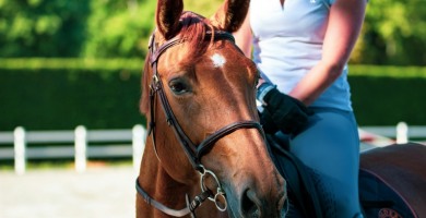 Pescasseroli: Incidente a Cavallo durante un'Escursione, Donna Ferita finisce in Ospedale