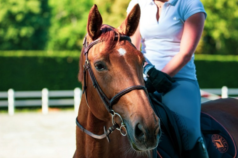 Pescasseroli: Incidente a Cavallo durante un’Escursione, Donna Ferita finisce in Ospedale