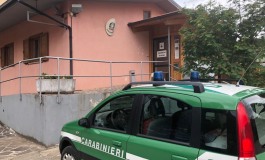 Carabinieri forestali controllano la filiera dei prodotti ittici: sanzioni e sequestri di alimenti