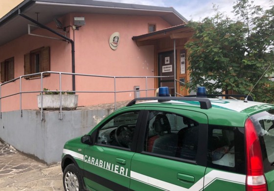 Castel di Sangro, cani senza microchip: pioggia di sanzioni dei Carabinieri - Forestali