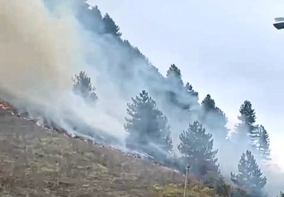 Spengono l'incendio e poi giurano come Amministrazione, succede a San Pietro Avellana